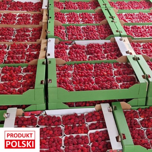 maliny-polskie-paletka- 12opakowanie-250g