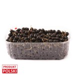 Porzeczka czarna - opakowanie 500g