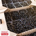 Porzeczka czarna - paletka 10x500g