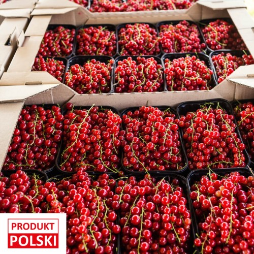 porzeczka-czerwona-paletka-10x500g-produkt-polski