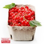 Porzeczka czerwona - opakowanie 250g