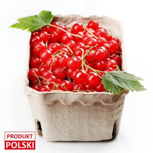 porzeczka-czerwona--opakowanie-250g-produkt-polski