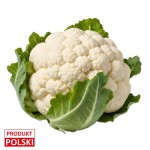 Kalafior