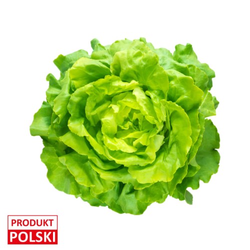 sałata-masłowa-produkt-polski