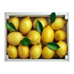 Cytryna - paczka 10kg