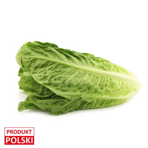 sałata-rzymska-produkt-polski