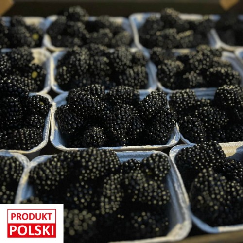 jeżyny-paletka-16x250g-produkt-poslki