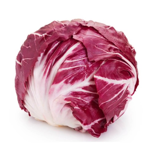 sałata radicchio