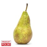 Gruszka konferencja - na sztuki