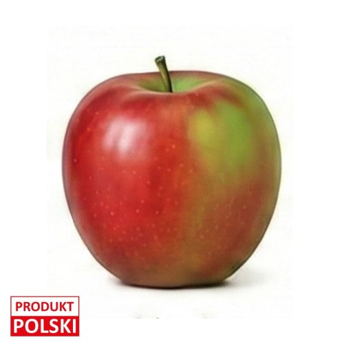 jablka-ligol-na-sztuki.jpeg