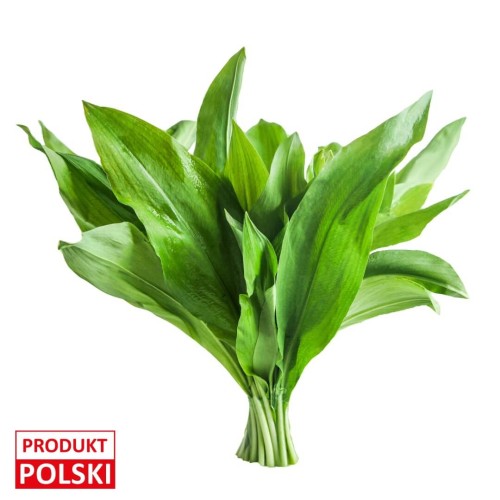 czosnek-niedźwiedzi-peczek-produkt-polski