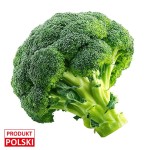 Brokuł