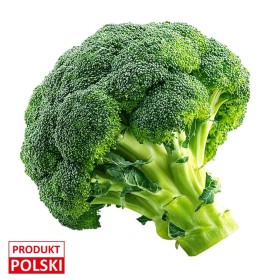 Brokuł