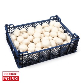 Pieczarki - paczka 3kg