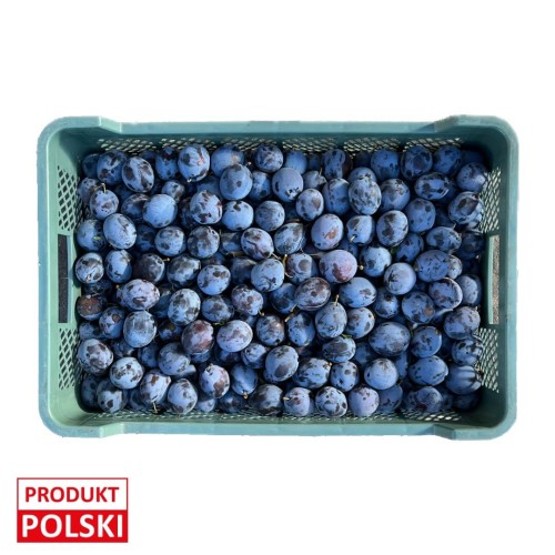 śliwka-węgierka-paczka-20kg-produkt-poslki.jpeg