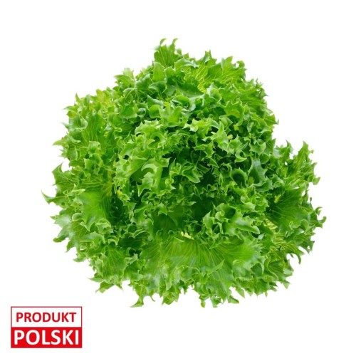 Sałata lollo bionda (1).jpeg