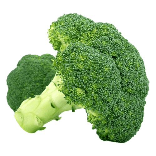 Frame 23 (21) (1).png