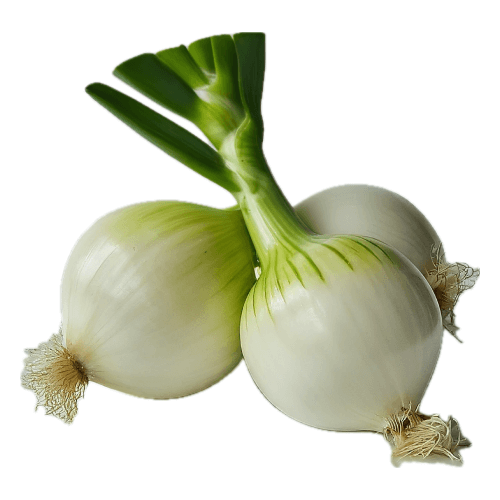 whiteonion.png