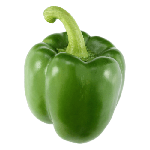 Frame 23 (11) (1).png