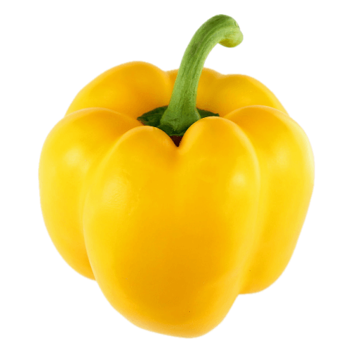 Frame 23 (12) (1).png