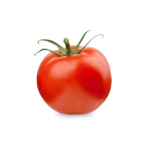 pomidor