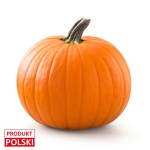 Dynia średnia