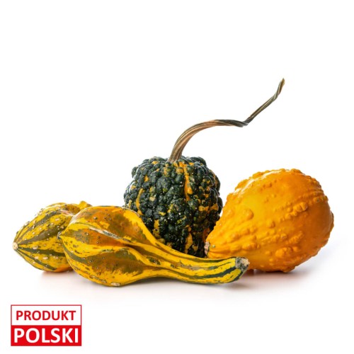 dynia-ozdobna-produkt-polski