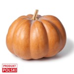 Dynia muscat