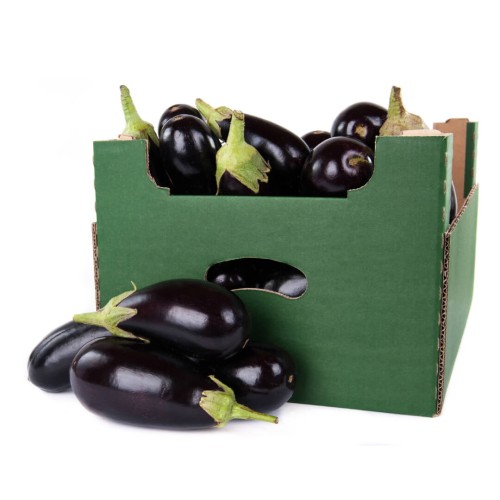 bakłażan w kartonowym opakowaniu