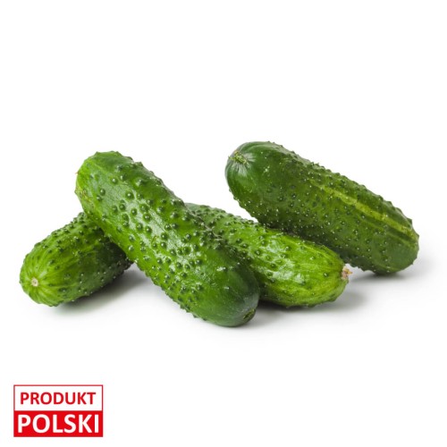 Ogórek gruntowy (1).jpeg